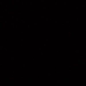 Meet your Posher, Taryn